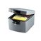 Coffre fort ignifuge Sentry Safe H0100